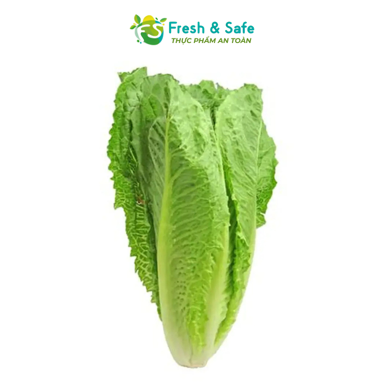 [Chỉ Giao HCM] Xà lách Romaine - 200g