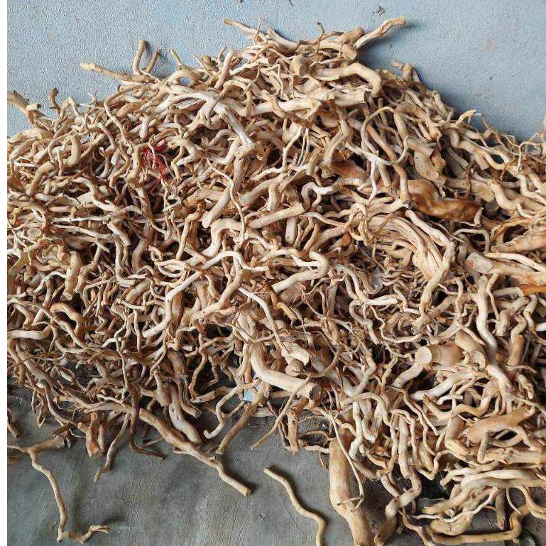 lũa đỗ quyên cành vụn - lũa setup layout bể thuỷ sinh