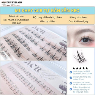  Mi giả tự gắn không cần dùng keo - mi giả hoa hướng dương trên và dưới dụng cụ nối mi   Đức Eyelash 
