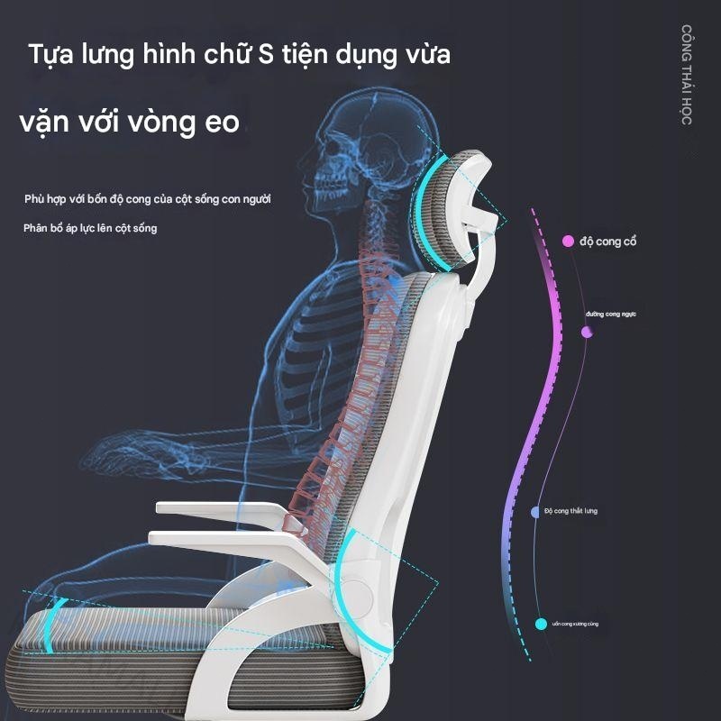 ghế máy tính văn phòng tại nhà ghế học sinh thực tế ghế ký túc xá có thể điều chỉnh Ghế xoay 360 độ | BigBuy360 - bigbuy360.vn