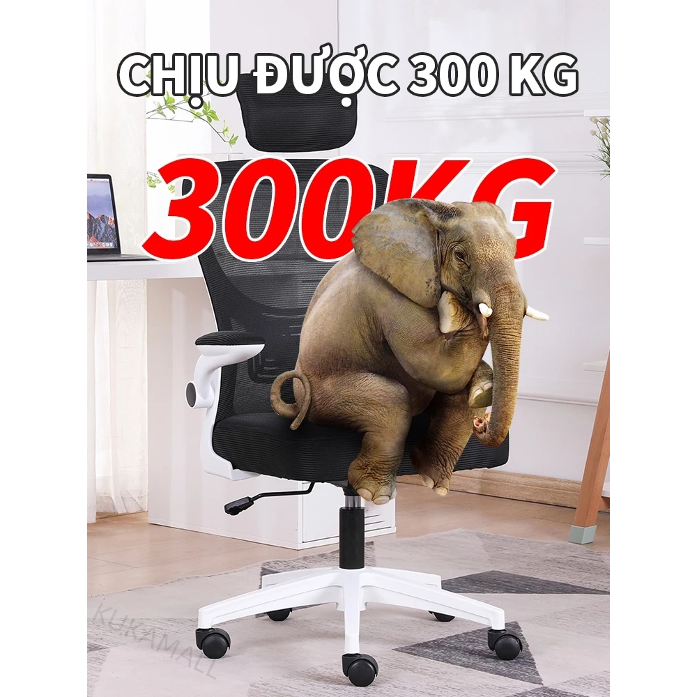 ghế máy tính văn phòng tại nhà ghế học sinh thực tế ghế ký túc xá có thể điều chỉnh Ghế xoay 360 độ | BigBuy360 - bigbuy360.vn