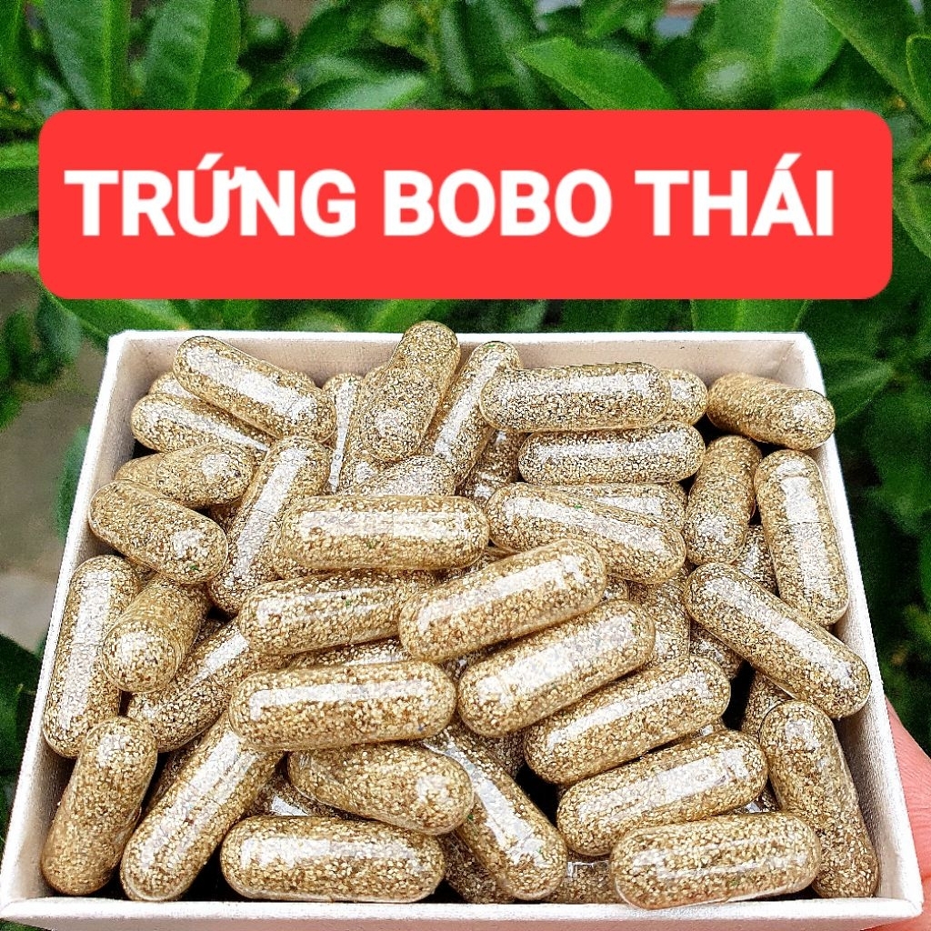 viên bobo thái, trứng nước, cám nuôi bobo siêu sinh khối