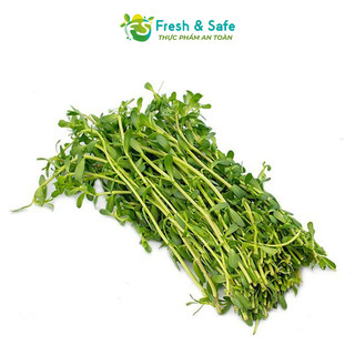 [Chỉ Giao HCM] Rau đắng - 300g (Sỉ)