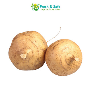 [Chỉ Giao HCM] Củ Sắn/Củ Đậu - 1kg