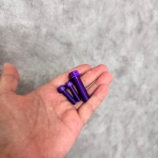 ỐC TITAN GR5 KIẾNG ELISSE 3 CON