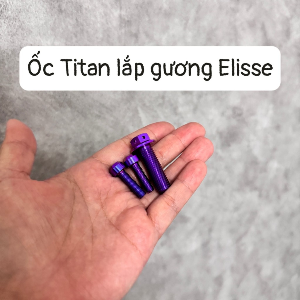 ỐC TITAN GR5 KIẾNG ELISSE 3 CON