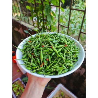 ớt rừng tươi thơm ngon, giòn, cay khó cưỡng 500gr