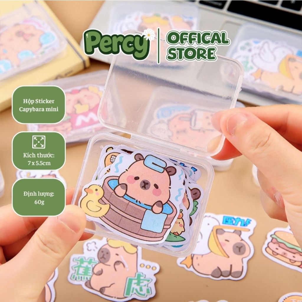 Combo 15 Sticker hoạt hình Labubu, Capybara, Kurumi Hello Kitty, Gấu dâu Lotso, Đồ chơi sticker cute