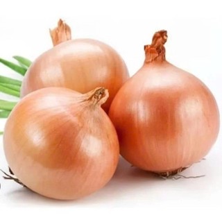 5kg Hành tây nguyên củ trắng, tươi mới