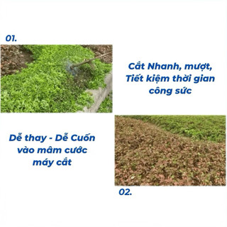 Dây cước cắt cỏ vuông siêu dai nhập khẩu loại vuông 4 cạnh nhựa dẻo dai chống đứt 3.0ly, 3.5ly, 4.0ly.