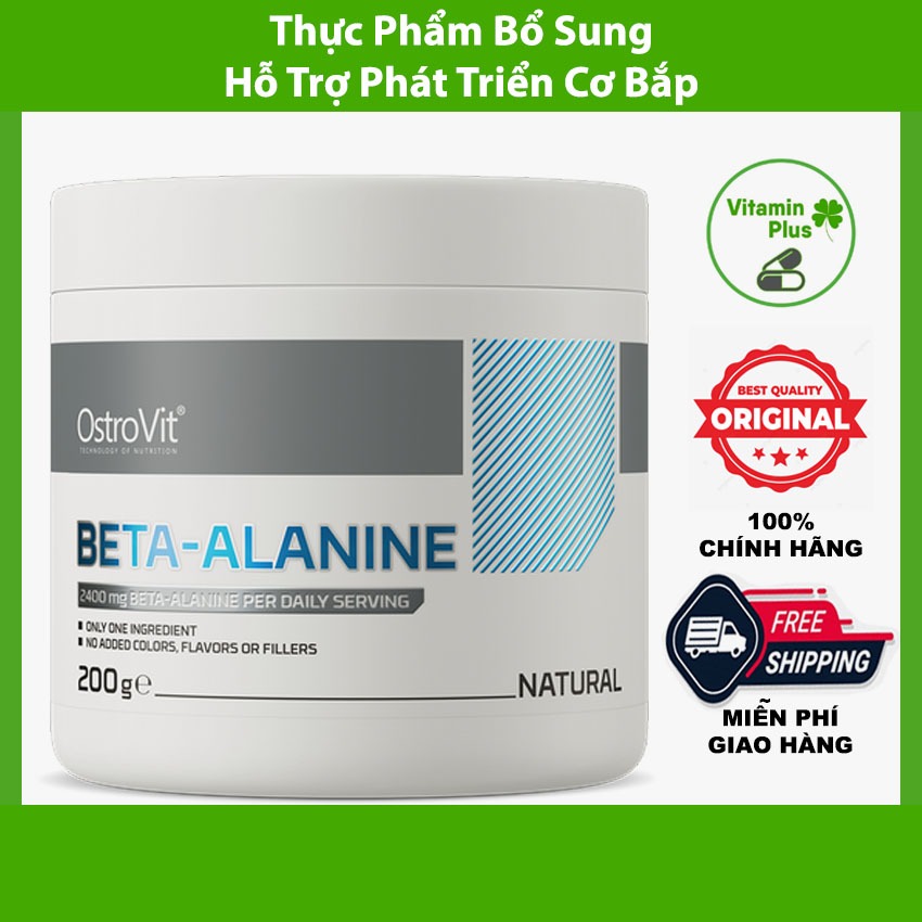 Thực Phẩm Bổ Sung OSTROVIT BETA ALANINE (200g)