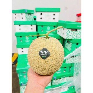 ( JENNY FRUIT ) 🥇 DƯA LƯỚI NHẬT – QUÀ TẶNG THƯỢNG HẠNG