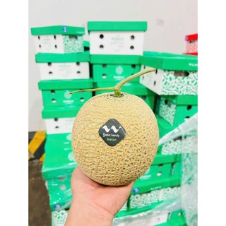 ( JENNY FRUIT ) 🥇 DƯA LƯỚI NHẬT – QUÀ TẶNG THƯỢNG HẠNG