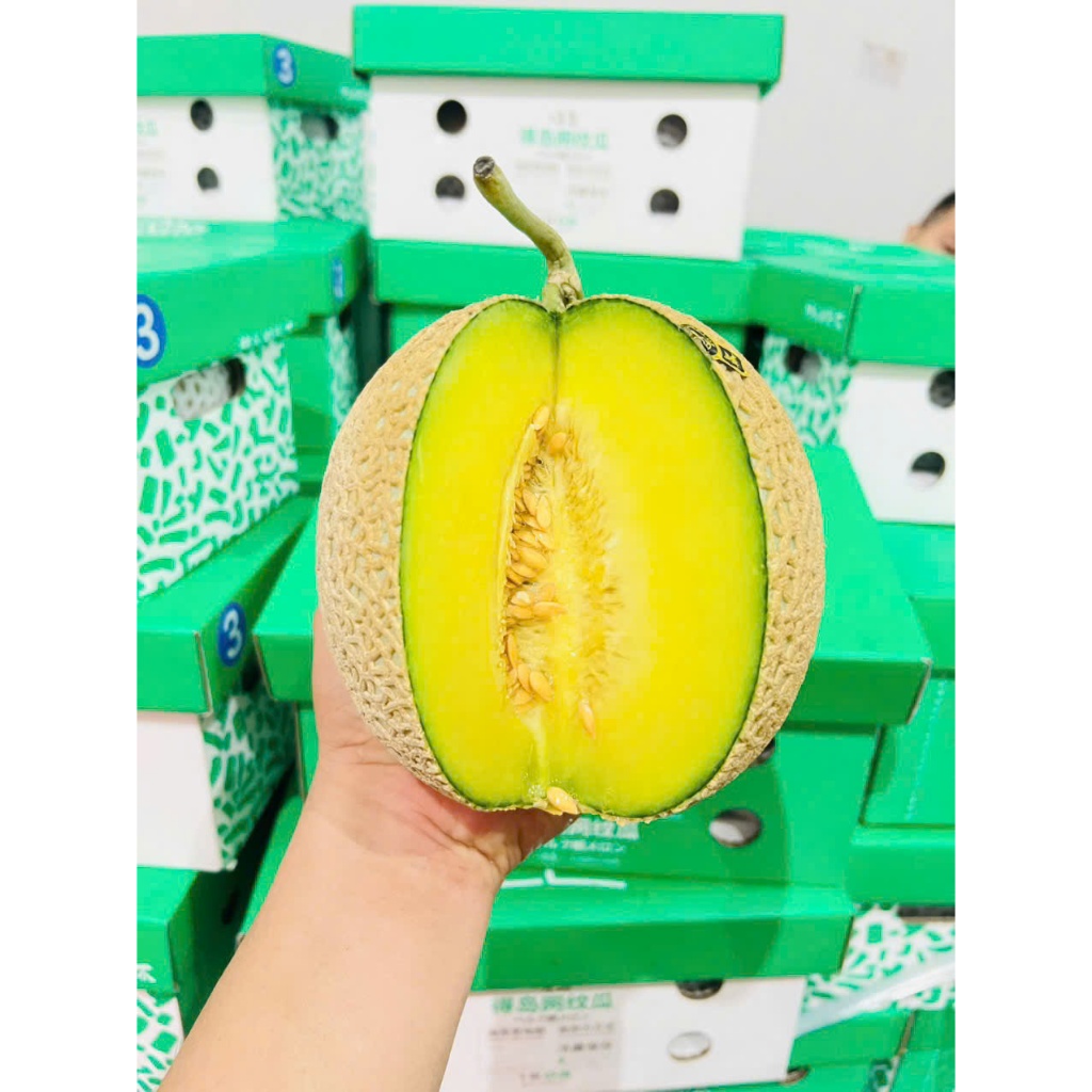 ( JENNY FRUIT ) 🥇 DƯA LƯỚI NHẬT – QUÀ TẶNG THƯỢNG HẠNG