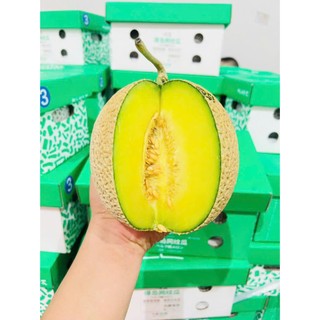 ( JENNY FRUIT ) 🥇 DƯA LƯỚI NHẬT – QUÀ TẶNG THƯỢNG HẠNG