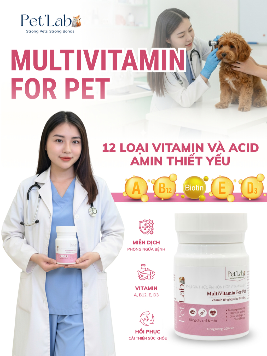 Gợi ý 6 loại vitamin cho mèo ngủ ô tô giúp mèo khỏe mạnh
