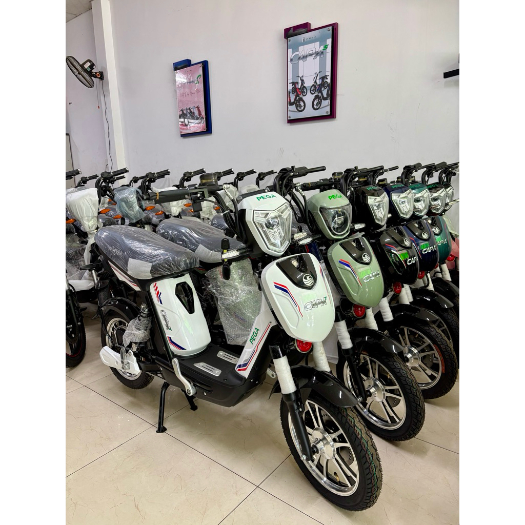 [ Chỉ ship TP. Hồ Chí Minh ] Xe đạp điện Pega Cap AT, hàng chính hãng Pega