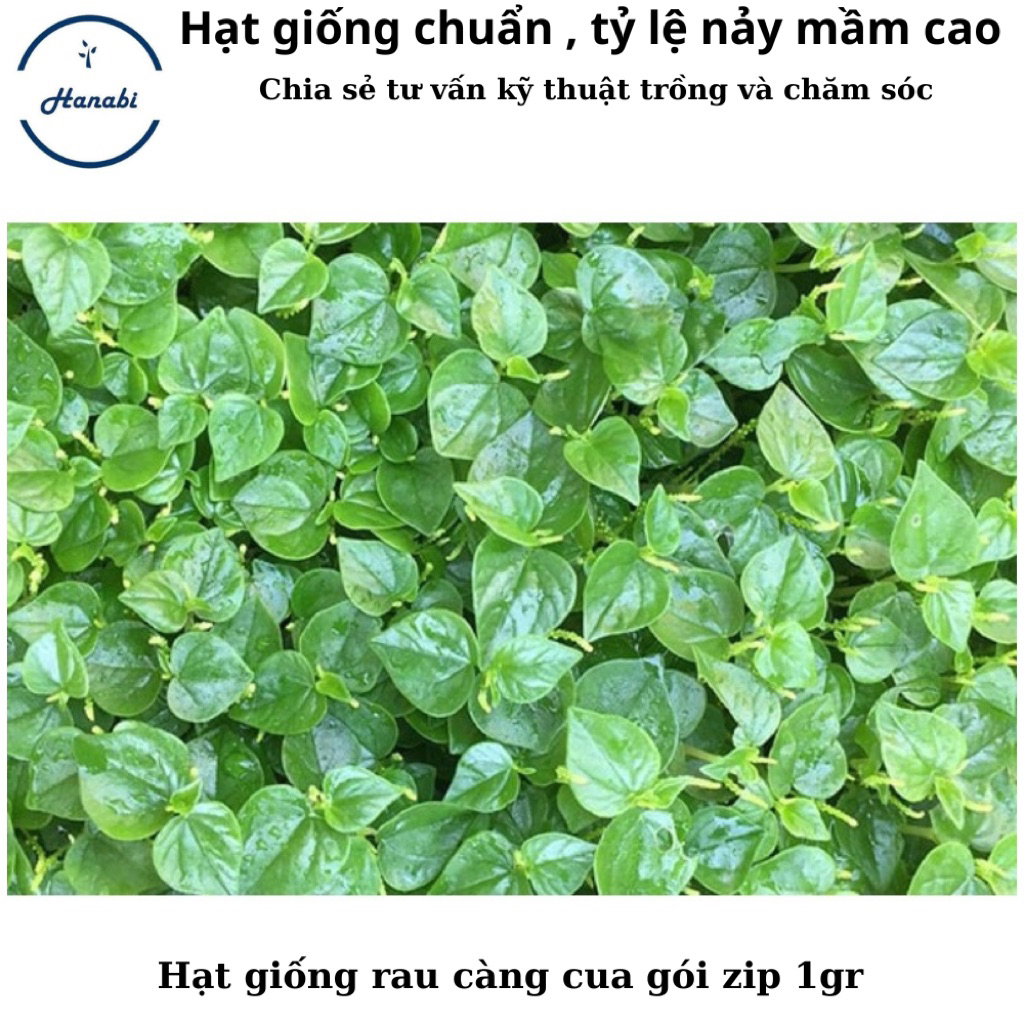 Hạt giống rau càng cua gói zip 1gr