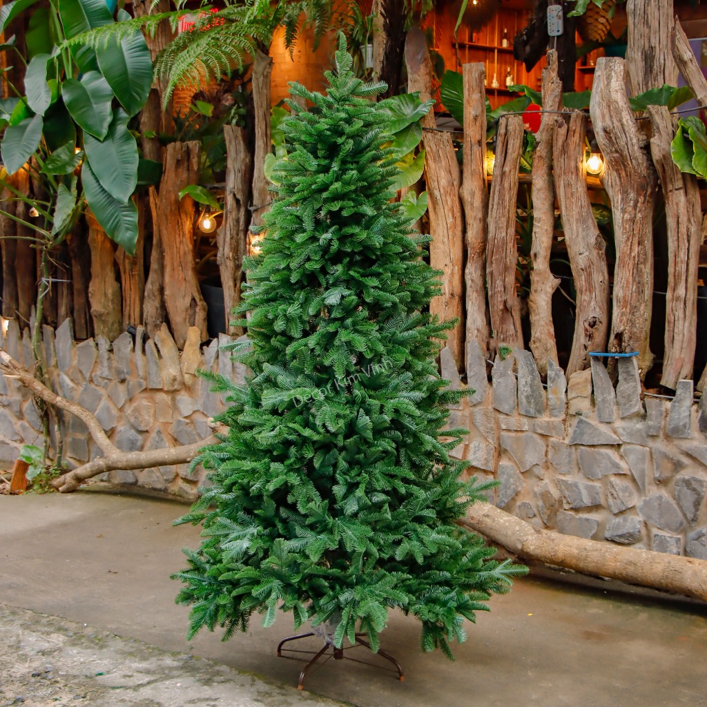 Cây Thông PE Lá Xoăn C71 Cây Thông Trang Trí Noel