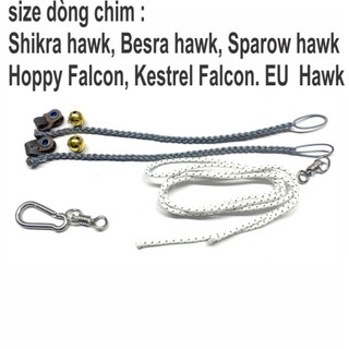 Dây cột chân chim ưng nhỏ, Dây xích chân chim ưng, dây đeo chân chim ưng, Dây buột chân chim săn mồi. Dây xích chân