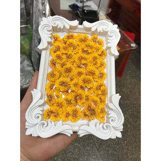 Hoa hướng dương ôm móng hướng dương vàng tết có hoa tay chân trang trí móng tay