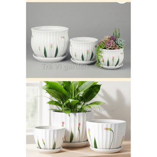  Chậu sứ trồng cây chậu trồng cây để bàn có bán kèm bộ hoặc lẻ size chậu sứ hình hoa sen sọc 