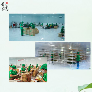 Trà Ô Long Túi Lọc - Tân Cương Xanh Thái Nguyên - Trà sạch ngon chuẩn VietGap