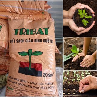 Đất TriBat trồng cây giàu dinh dưỡng