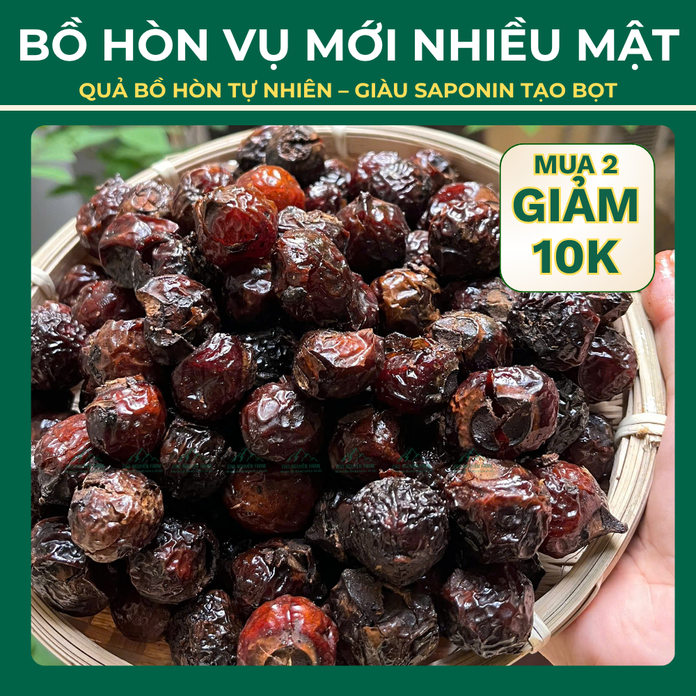 Bồ hòn tách hạt tự nhiên, đã rửa sạch - Quả bồ hòn chín cây mật dẻo sạch không hóa chất.