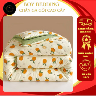  Chăn Phao Đũi Cotton Bông Xơ Đậu Nành Ấm Áp,Dày Dặn Vải Mềm Mịn Kích Thước 2m3x2m 