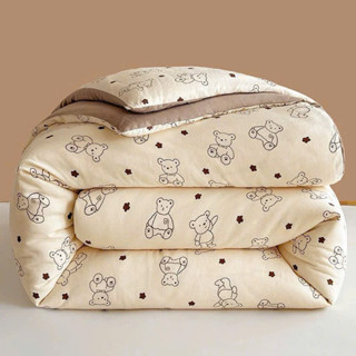  Chăn phao mùa đông siêu ấm siêu nhẹ chăn đũi xơ đậu nành 2mx2m3 3kg 