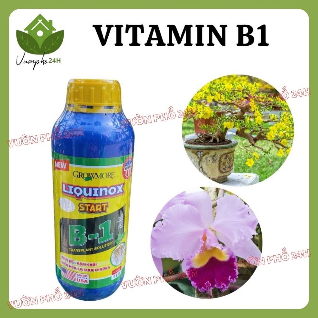 Vitamin B1 kích rễ Growmore Liquinox B1 Start 1L – Giúp cây ra rễ, phục hồi nhanh