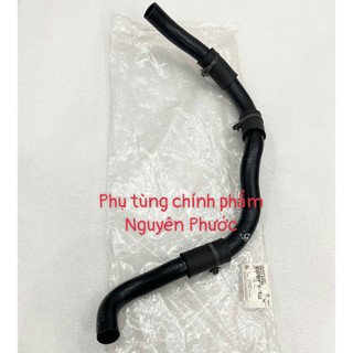 Ống cao su két nước dưới [Chính hãng] MORNING 05 - 07 AT, MORNING 08 -10 MT I 2541207500