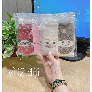 Combo 5 Đôi Tất Chống Trượt Ponykid