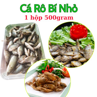 Cá rô bí hàng cá rô đồng nhỏ chuyên dùng chiên giòn 1 hộp 500gram (giao hỏa tốc HCM)