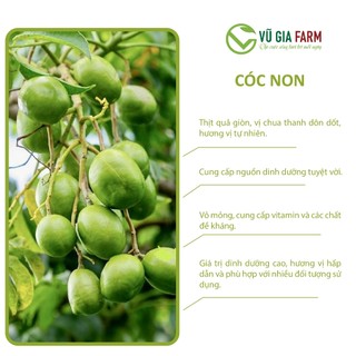 [HỎA TỐC HCM] CÓC NON