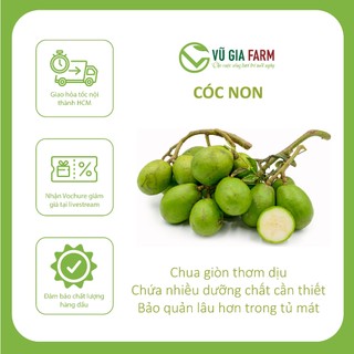 [HỎA TỐC HCM] CÓC NON