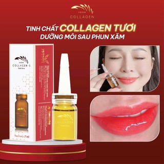 Tinh Chất Collagen Dưỡng Môi Sau Phun Xăm VIESKIN GOLDSHINE, Dưỡng Màu Tự Nhiên, Căng Bóng, Lọ 7ml