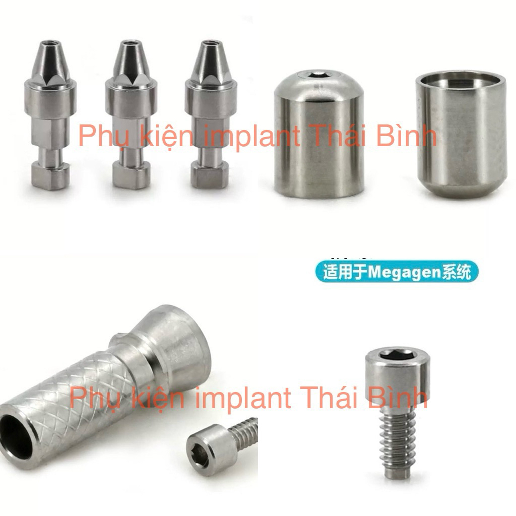 Helingcap, cylinder,analog multi,ốc multi cho implant MegagenST