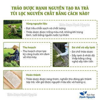 Trà diếp cá túi lọc, thanh nhiệt, thanh lọc cơ thể, tốt cho sức khỏe