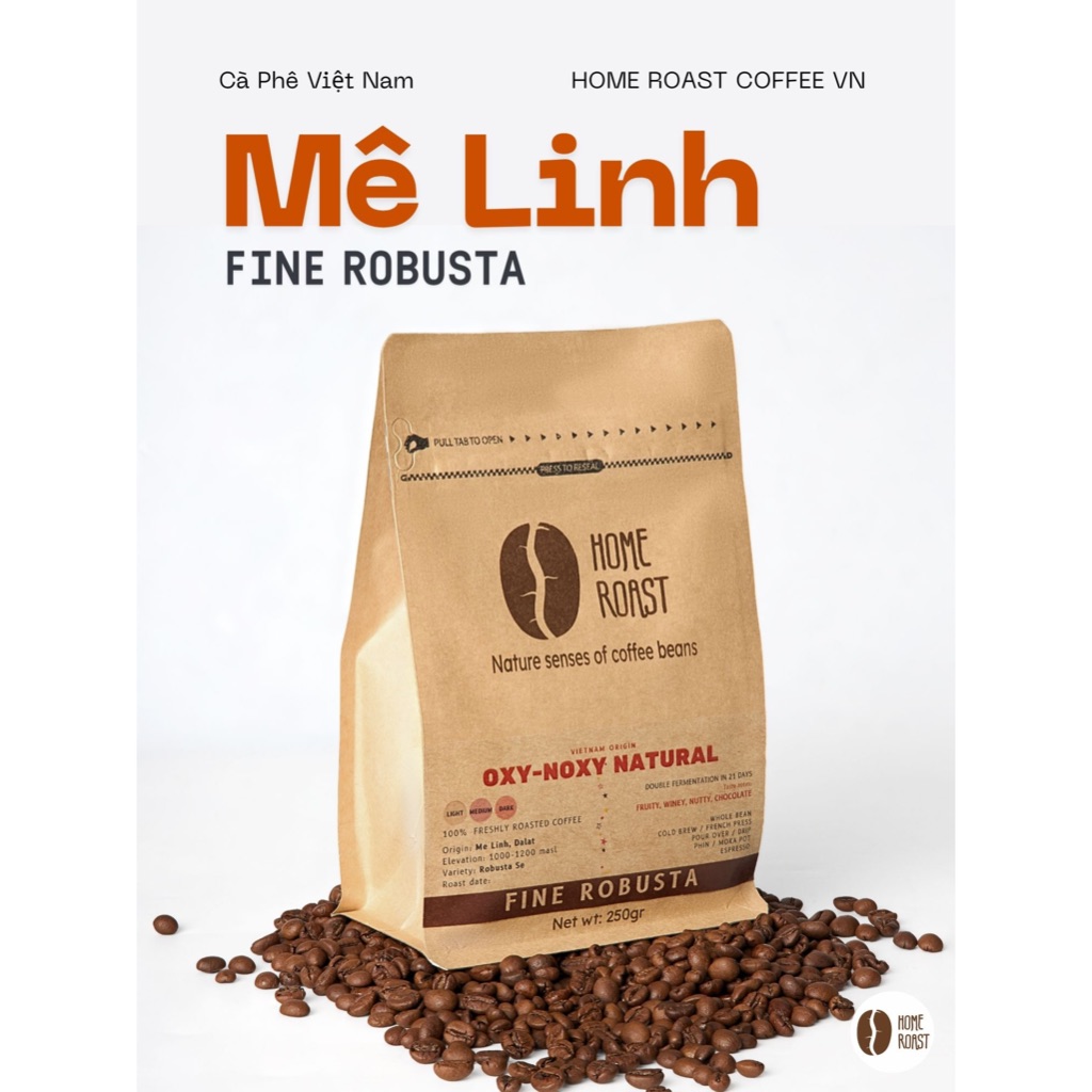 Cà Phê Fine Robusta Sẻ Mê Linh Việt Nam [Oxy-NOxy Double Fermentation Natural]