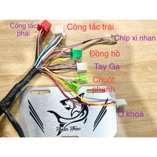  Dây tổng xe điện xmen lắp được ic zin và ic votol. 
