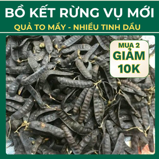 Bồ kết khô vụ mới, quả to, chắc hạt , bà con dân tộc hái trên rừng Tây Bắc về không chất bảo quản