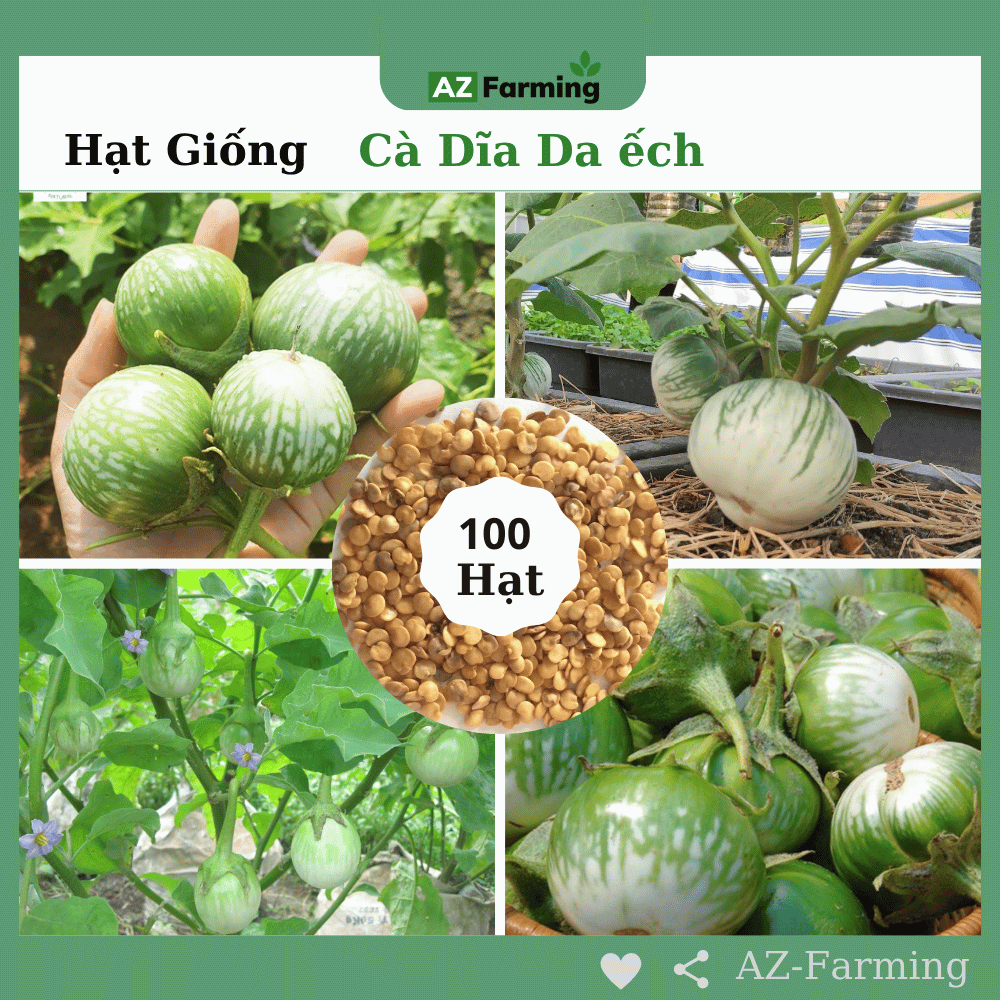 Hạt Giống Cà Dĩa Da Ếch (Gói 100 Hạt) - AZ Farming