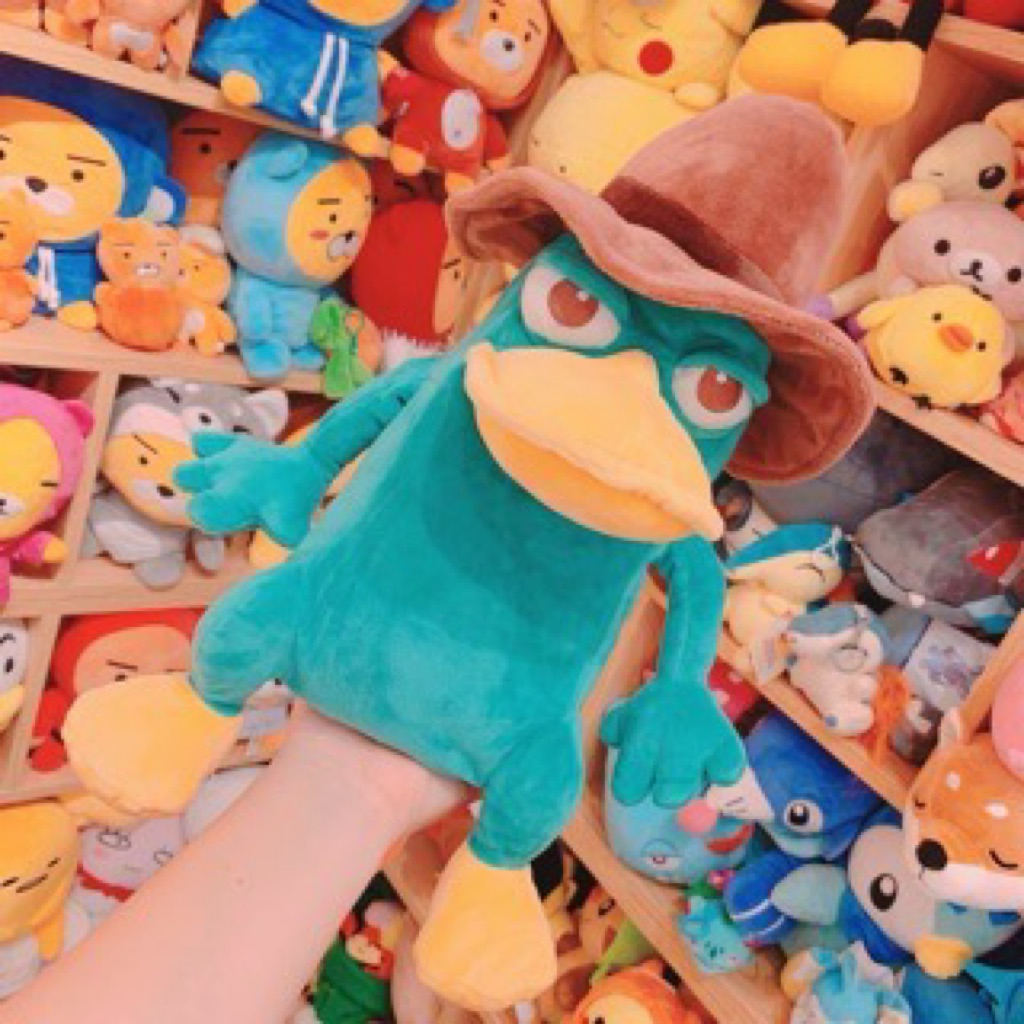 Thú mỏ vịt Perry chính hãng CN