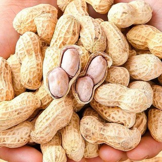 500G Lạc Củ Tẩm Vị, Lạc Rang Nguyên Vỏ Tẩm Vị, Đậu Phộng Nguyên Vỏ Rang Chín Tẩm Vị