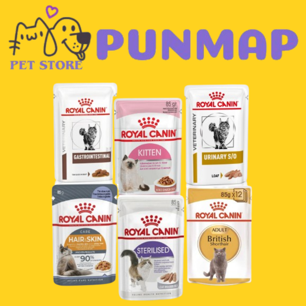 Pate cho mèo Royal Canin Kitten, Pate Royal canin các loại Thức ăn ướt cho mèo