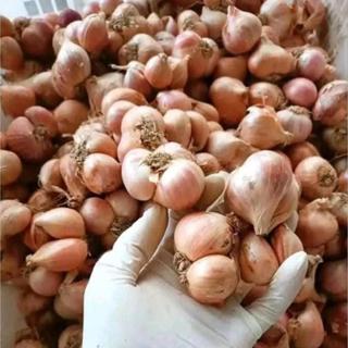 hành củ ta vụ mới Kinh Môn hải Dương cắt gọn gàng trọng lượng 1Kg