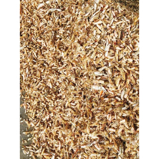 2kg bột tôm khô say mịn
