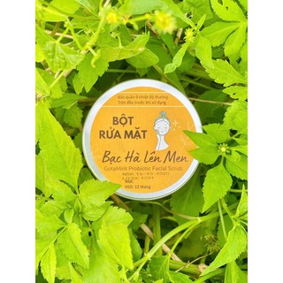 Bột rửa mặt Bạc hà Thảo mộc GOTAFARM - hũ 135g sạch dầu, giảm mụn ẩn, tẩy da chết